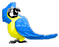 blueparrot.gif